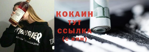 бошки Инта