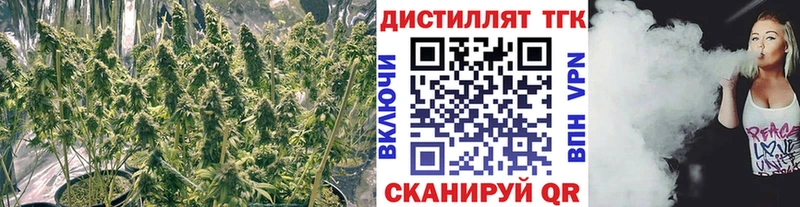 сколько стоит  Зеленокумск  ТГК гашишное масло 